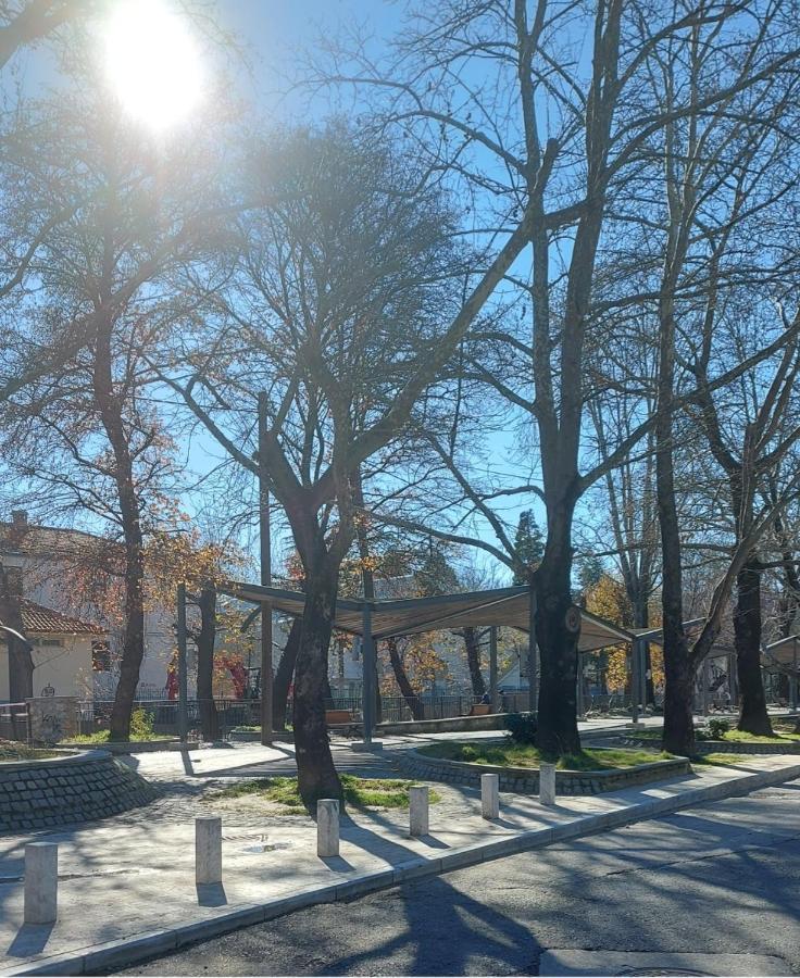 Fbm Anagenessis - Ευ Ζην Apartment Edessa Exterior photo
